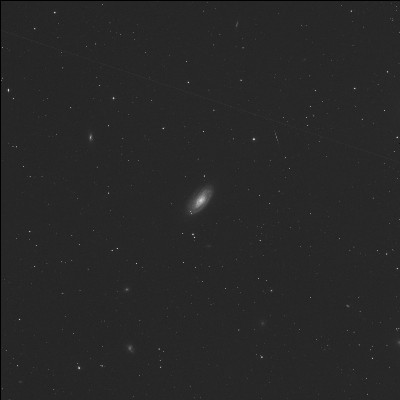 NGC4501